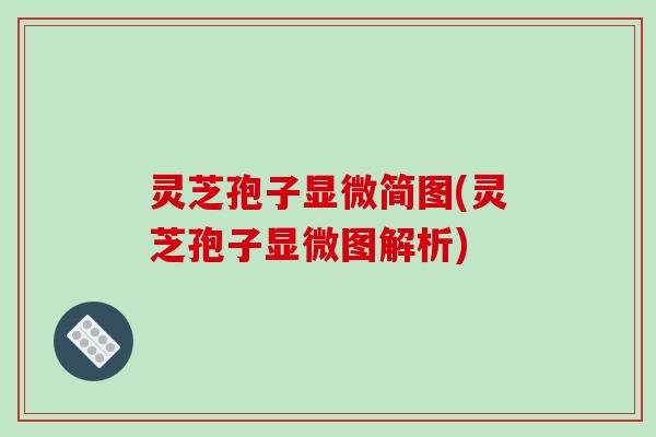 灵芝孢子显微简图(灵芝孢子显微图解析)