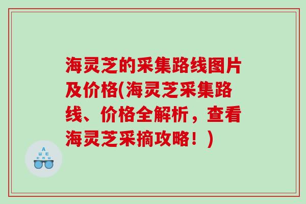 海灵芝的采集路线图片及价格(海灵芝采集路线、价格全解析，查看海灵芝采摘攻略！)