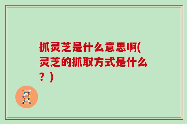 抓灵芝是什么意思啊(灵芝的抓取方式是什么？)