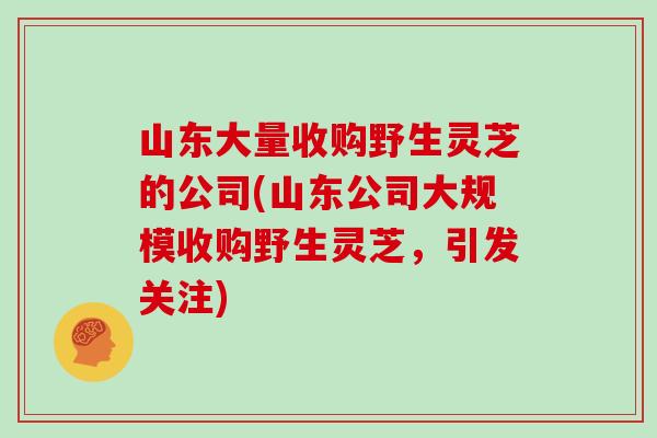 山东大量收购野生灵芝的公司(山东公司大规模收购野生灵芝，引发关注)