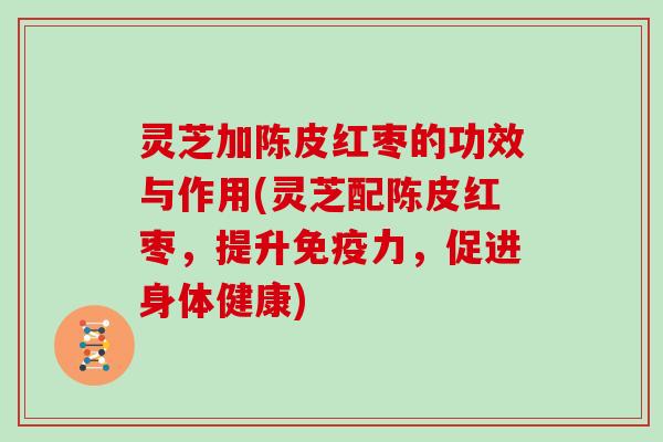 灵芝加陈皮红枣的功效与作用(灵芝配陈皮红枣，提升免疫力，促进身体健康)