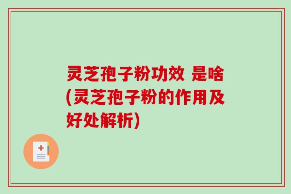 灵芝孢子粉功效 是啥(灵芝孢子粉的作用及好处解析)