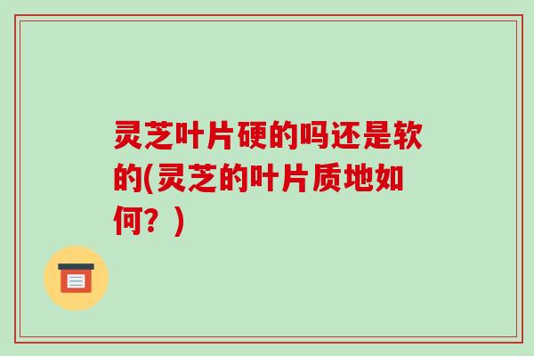 灵芝叶片硬的吗还是软的(灵芝的叶片质地如何？)