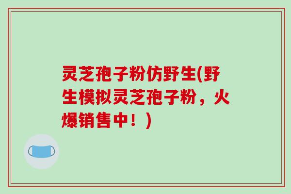 灵芝孢子粉仿野生(野生模拟灵芝孢子粉，火爆销售中！)