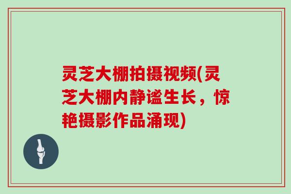 灵芝大棚拍摄视频(灵芝大棚内静谧生长，惊艳摄影作品涌现)
