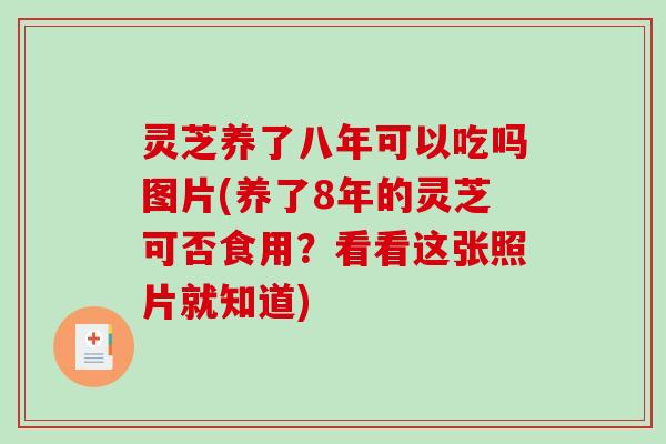 灵芝养了八年可以吃吗图片(养了8年的灵芝可否食用？看看这张照片就知道)