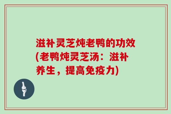 滋补灵芝炖老鸭的功效(老鸭炖灵芝汤：滋补养生，提高免疫力)