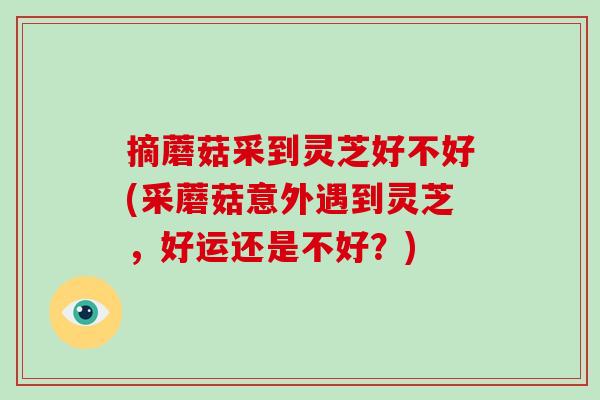 摘蘑菇采到灵芝好不好(采蘑菇意外遇到灵芝，好运还是不好？)