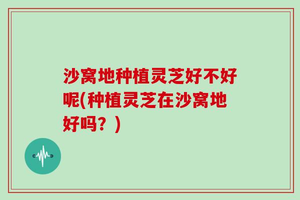 沙窝地种植灵芝好不好呢(种植灵芝在沙窝地好吗？)