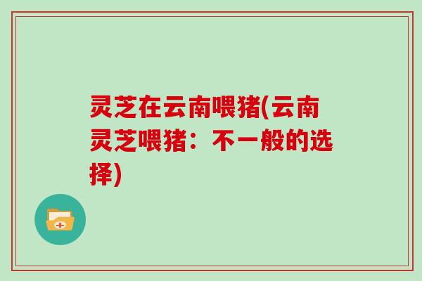 灵芝在云南喂猪(云南灵芝喂猪：不一般的选择)