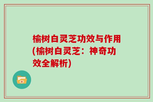 榆树白灵芝功效与作用(榆树白灵芝：神奇功效全解析)