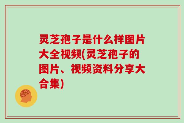 灵芝孢子是什么样图片大全视频(灵芝孢子的图片、视频资料分享大合集)