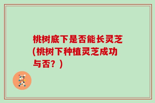 桃树底下是否能长灵芝(桃树下种植灵芝成功与否？)
