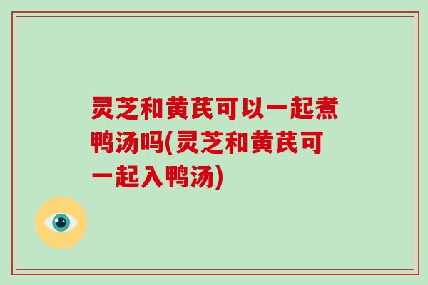 灵芝和黄芪可以一起煮鸭汤吗(灵芝和黄芪可一起入鸭汤)
