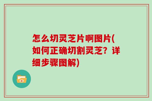 怎么切灵芝片啊图片(如何正确切割灵芝？详细步骤图解)