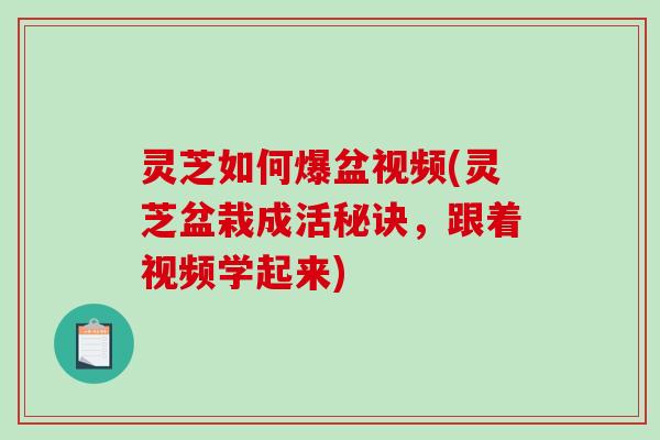 灵芝如何爆盆视频(灵芝盆栽成活秘诀，跟着视频学起来)