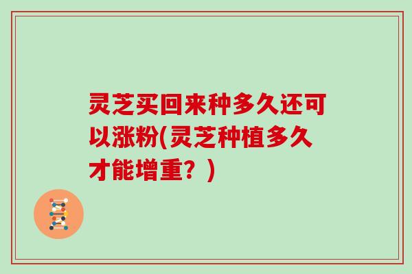灵芝买回来种多久还可以涨粉(灵芝种植多久才能增重？)