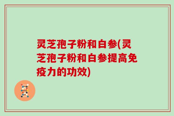 灵芝孢子粉和白参(灵芝孢子粉和白参提高免疫力的功效)