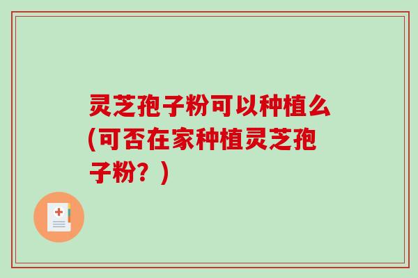 灵芝孢子粉可以种植么(可否在家种植灵芝孢子粉？)
