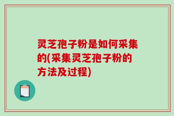 灵芝孢子粉是如何采集的(采集灵芝孢子粉的方法及过程)