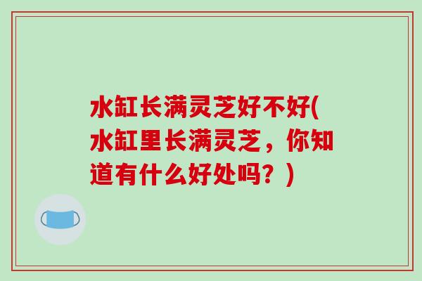 水缸长满灵芝好不好(水缸里长满灵芝，你知道有什么好处吗？)
