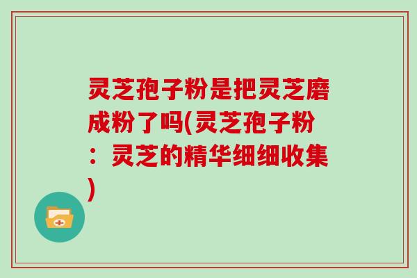 灵芝孢子粉是把灵芝磨成粉了吗(灵芝孢子粉：灵芝的精华细细收集)