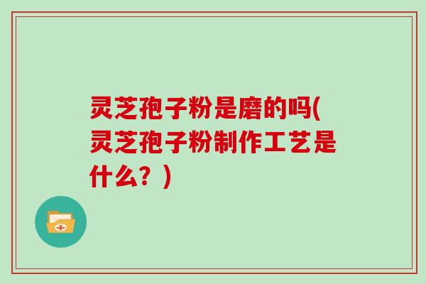 灵芝孢子粉是磨的吗(灵芝孢子粉制作工艺是什么？)