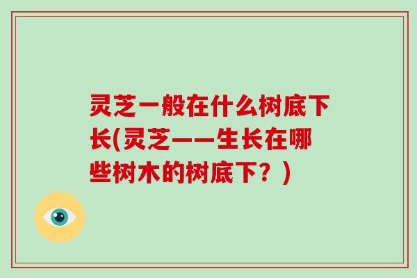 灵芝一般在什么树底下长(灵芝——生长在哪些树木的树底下？)