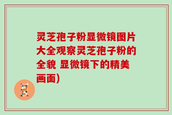 灵芝孢子粉显微镜图片大全观察灵芝孢子粉的全貌 显微镜下的精美画面)