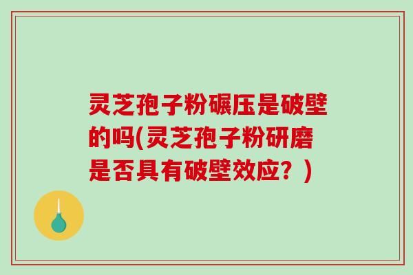 灵芝孢子粉碾压是破壁的吗(灵芝孢子粉研磨是否具有破壁效应？)