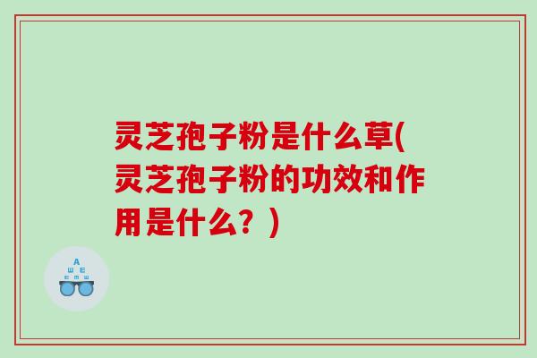 灵芝孢子粉是什么草(灵芝孢子粉的功效和作用是什么？)