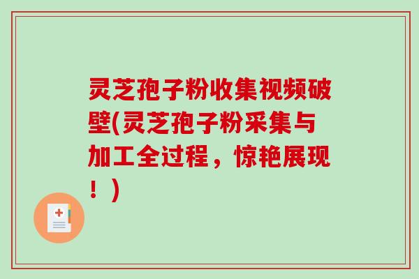 灵芝孢子粉收集视频破壁(灵芝孢子粉采集与加工全过程，惊艳展现！)