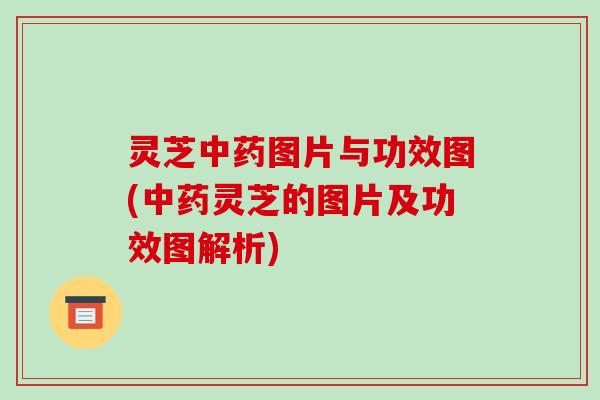 灵芝图片与功效图(灵芝的图片及功效图解析)