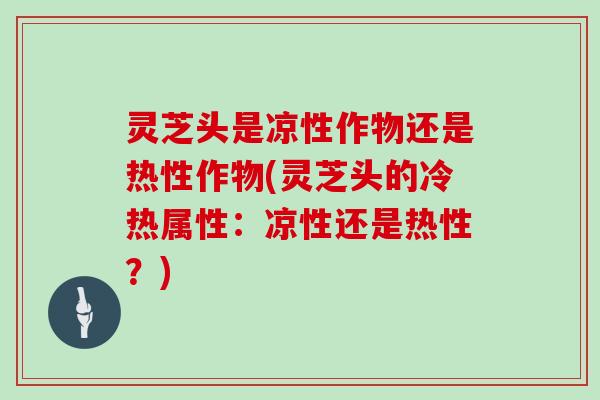 灵芝头是凉性作物还是热性作物(灵芝头的冷热属性：凉性还是热性？)