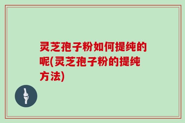 灵芝孢子粉如何提纯的呢(灵芝孢子粉的提纯方法)