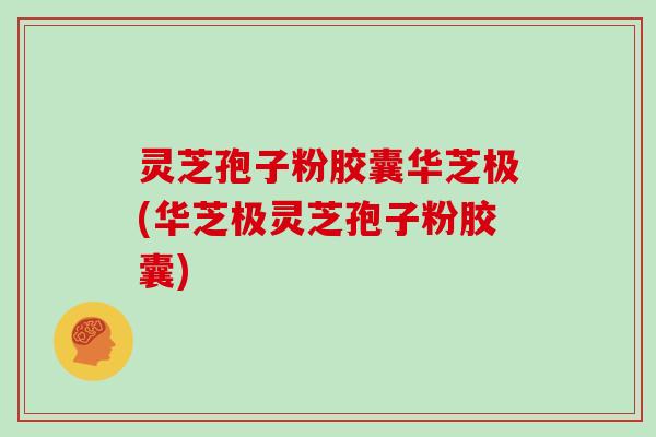 灵芝孢子粉胶囊华芝极(华芝极灵芝孢子粉胶囊)
