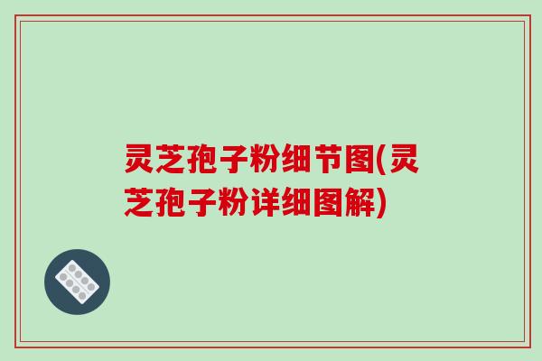 灵芝孢子粉细节图(灵芝孢子粉详细图解)