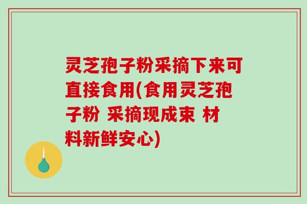 灵芝孢子粉采摘下来可直接食用(食用灵芝孢子粉 采摘现成束 材料新鲜安心)