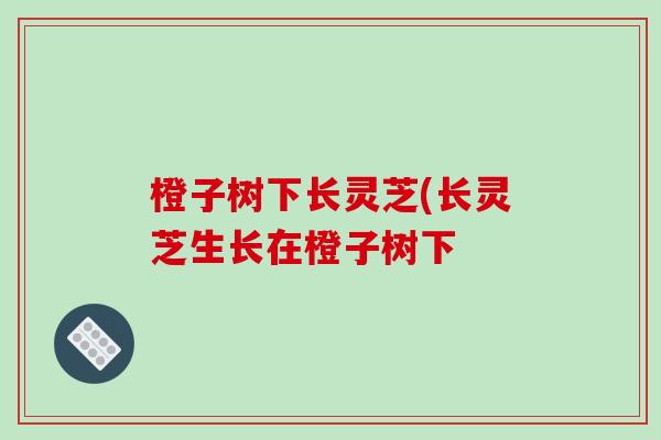 橙子树下长灵芝(长灵芝生长在橙子树下