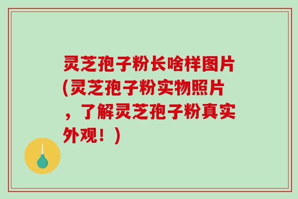 灵芝孢子粉长啥样图片(灵芝孢子粉实物照片，了解灵芝孢子粉真实外观！)