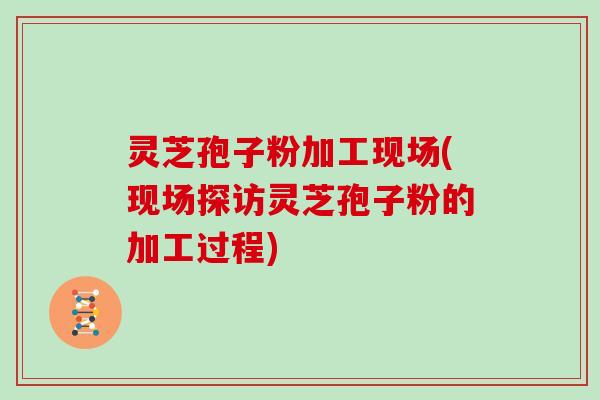 灵芝孢子粉加工现场(现场探访灵芝孢子粉的加工过程)