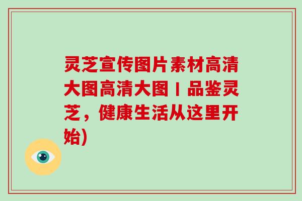 灵芝宣传图片素材高清大图高清大图丨品鉴灵芝，健康生活从这里开始)