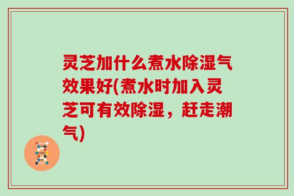 灵芝加什么煮水除湿气效果好(煮水时加入灵芝可有效除湿，赶走潮气)