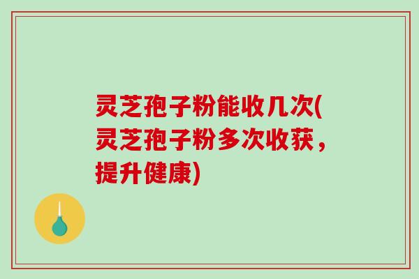 灵芝孢子粉能收几次(灵芝孢子粉多次收获，提升健康)