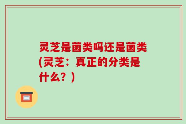 灵芝是菌类吗还是菌类(灵芝：真正的分类是什么？)