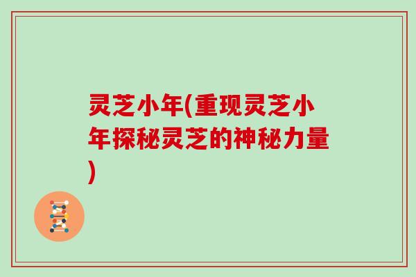 灵芝小年(重现灵芝小年探秘灵芝的神秘力量)
