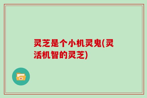 灵芝是个小机灵鬼(灵活机智的灵芝)