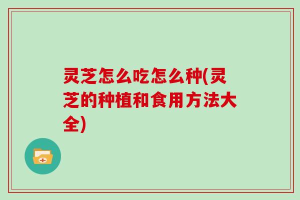 灵芝怎么吃怎么种(灵芝的种植和食用方法大全)