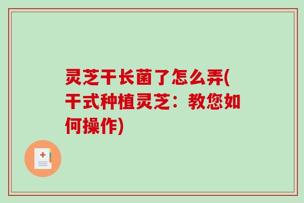灵芝干长菌了怎么弄(干式种植灵芝：教您如何操作)