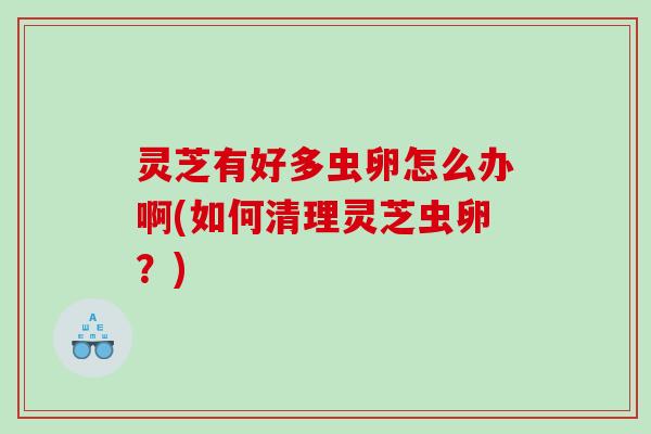 灵芝有好多虫卵怎么办啊(如何清理灵芝虫卵？)